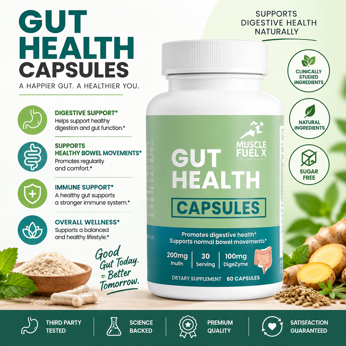 Gut Health Capsules – Digestive Health & Bowel Regularity Support