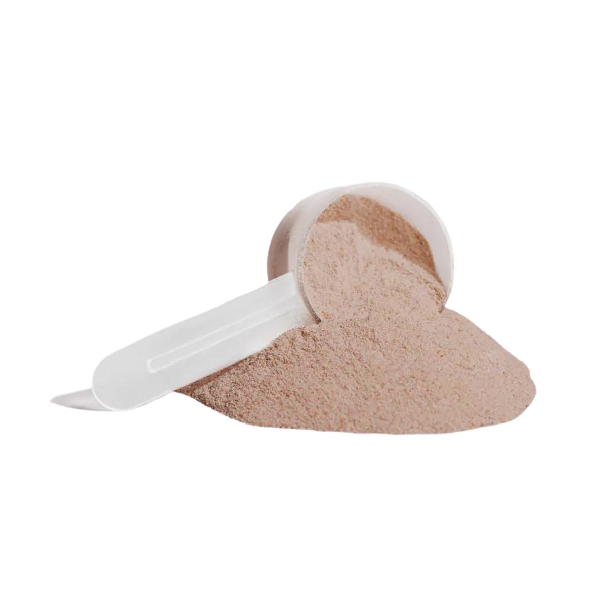 Plant Protein (Chocolate) – Post Workout Muscle Recovery